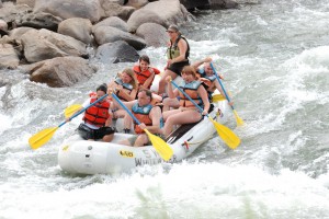 rafters