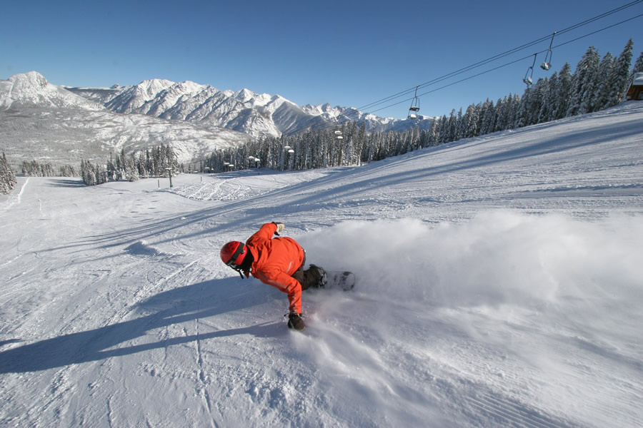 Snowboarder by Needles