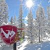 Sunny Winter Park