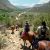 horseback rides